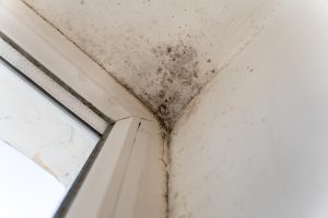 Ceiling Water Stains