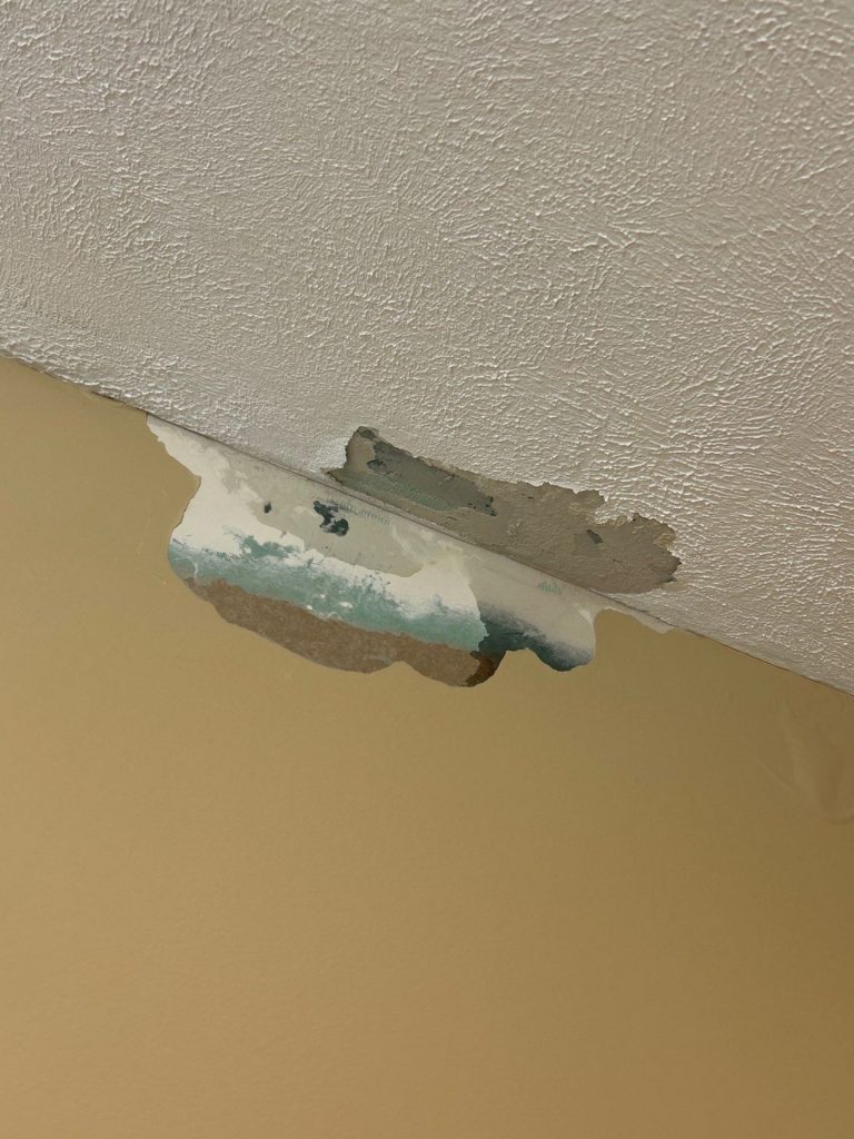 ROOF LEAK IN RESIDENTIAL HOME