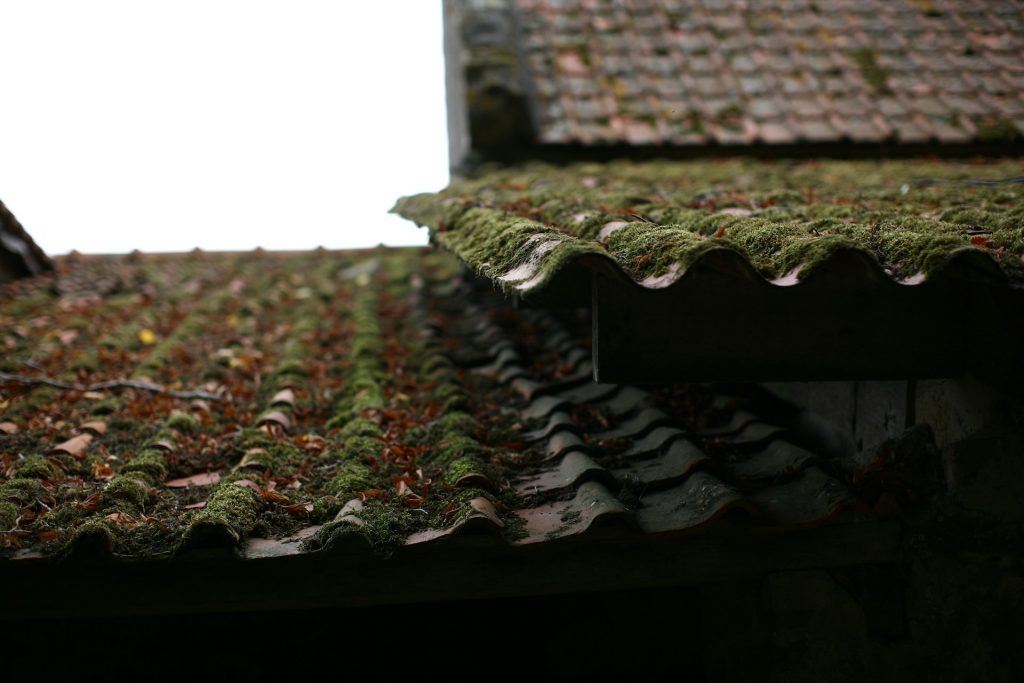 Old Shingle Roof