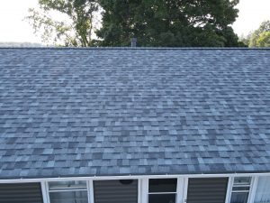 roof inspection