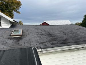 roof maintenance