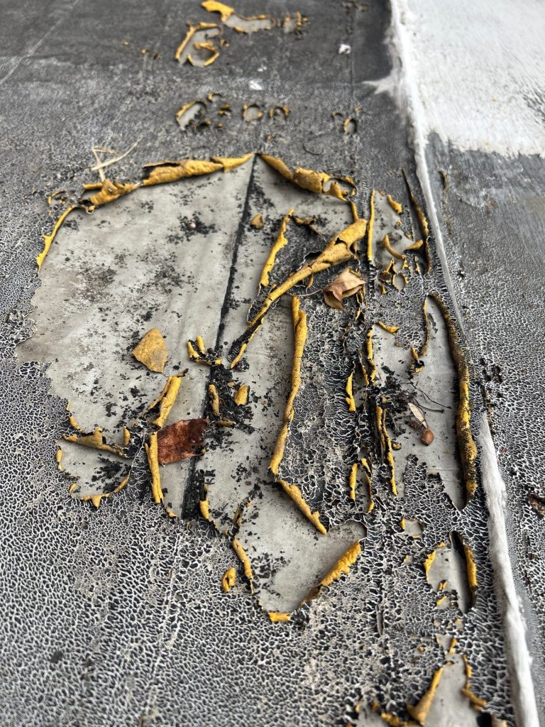 hail damage